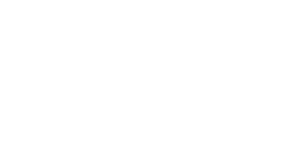 logo chu toulouse blanc2