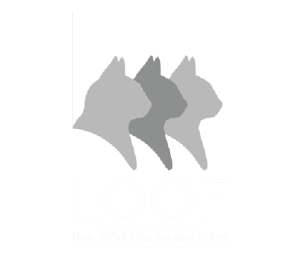logo loof blanc2