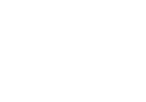 logo ppa blanc2